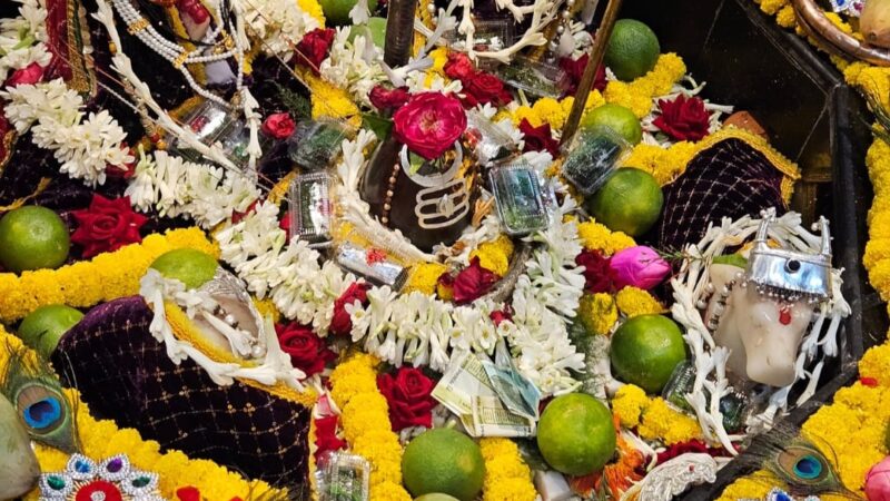शिव मंदिर भगत तालाब में भव्यता से मनाई गई शिवरात्रि…