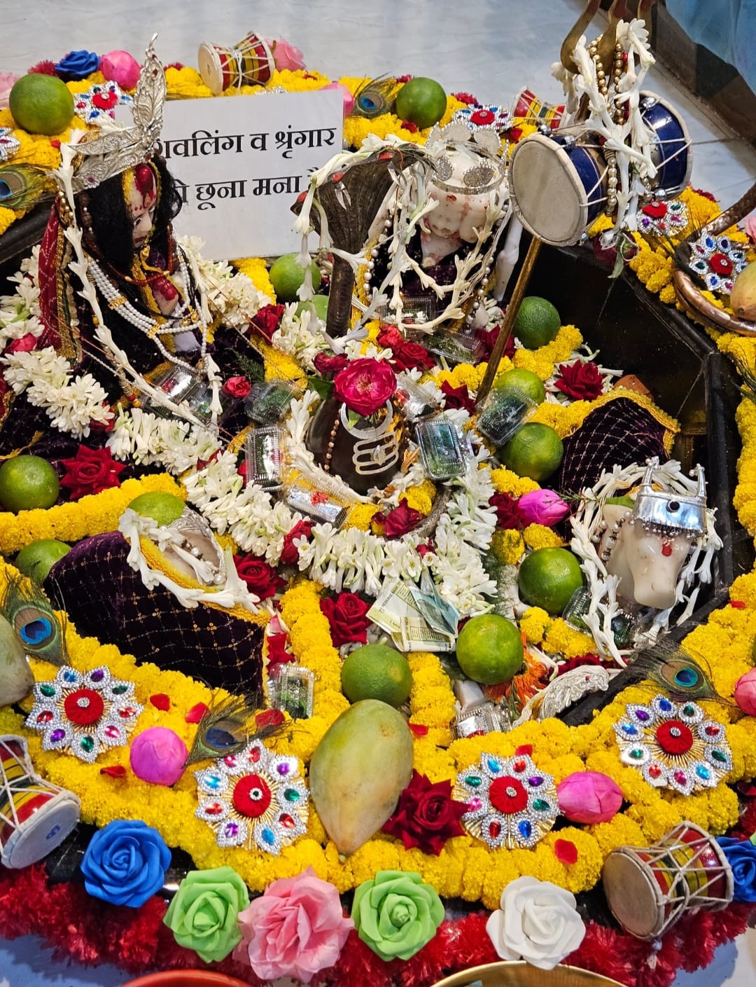 शिव मंदिर भगत तालाब में भव्यता से मनाई गई शिवरात्रि…