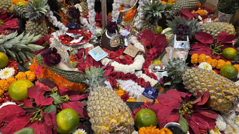 धूमधाम से निकली भोले की बारात, शिवमय हुआ खरसिया नगर…