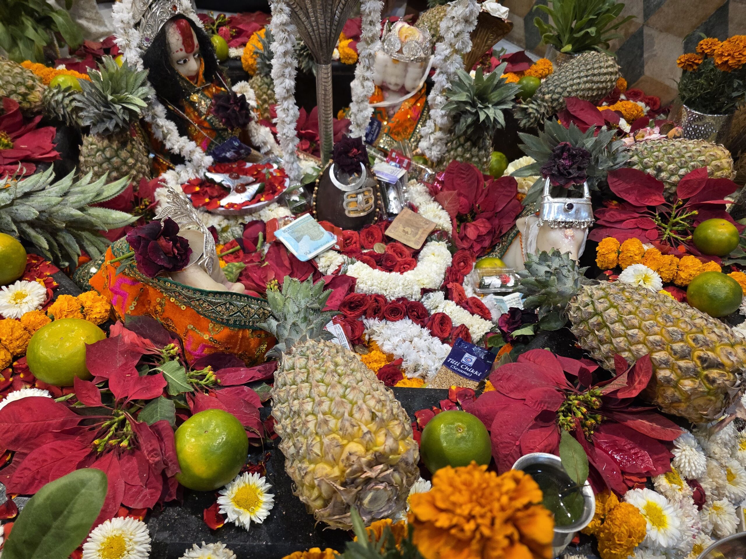 धूमधाम से निकली भोले की बारात, शिवमय हुआ खरसिया नगर…