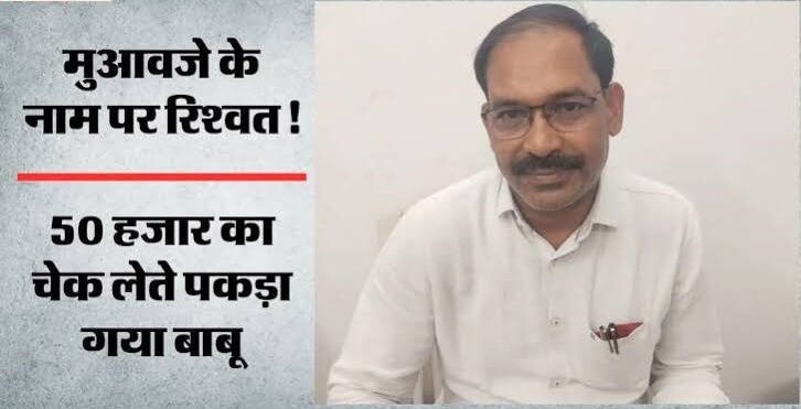 आपदा प्रबंधन के 50 हजार घूस के नाग ने रायगढ कलेक्ट्रेट के बाबू की नौकरी को डसा…